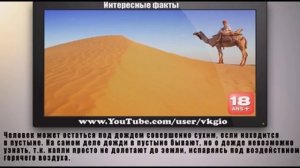 Двойной зрачок это норма? Интересные факты 2014