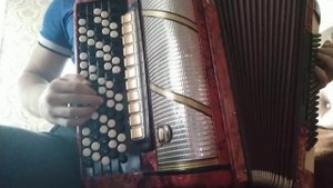 Cygo "Panda E" кавер на баяне. Игра на баяне, современные хиты