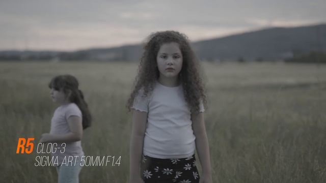 Canon R5 vs Canon C70 // image quality, Dynamic Range, Stabilisation // Film Look color grading.