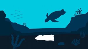 Everything We Know About Ocean Plastic Pollution So Far | The Ocean Cleanup