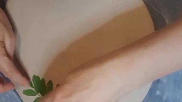 Метод оттиска. Как нанести рисунок на глину с помощью растений. смотреть онлайн