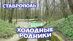 ХОЛОДНЫЕ РОДНИКИ в Ставрополе. Осетинские родники в Таманском лесу. Где искупаться в жару?