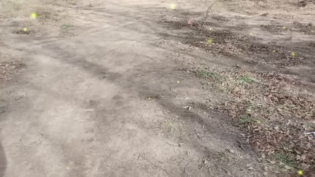 Свекровь и другие родственники мужа были наглыми и постоянно требовали деньги. Я решила...