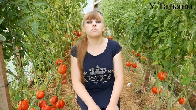 УСПЕЙТЕ полить ТОМАТЫ ЭТИМ СРЕДСТВОМ, чтобы ПЛОДЫ были МЯСИСТЫЕ и САХАРИСТЫЕ!