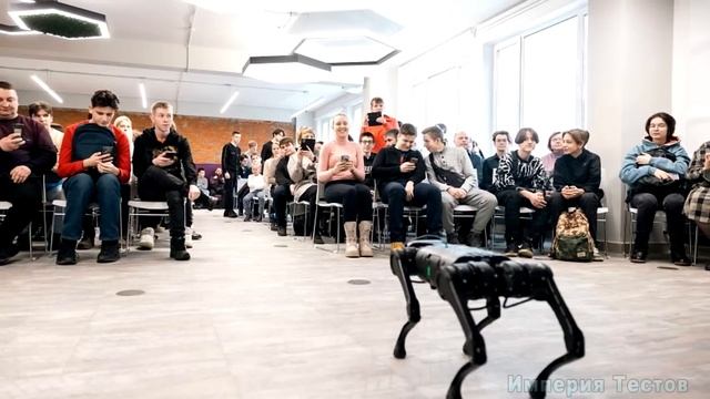 НАСКОЛЬКО СТАР ВАШ МОЗГ? Невероятный тест на эрудицию и образованность #тестнаэрудицию #iqтест