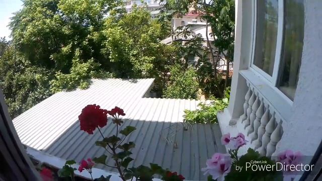 Квартира 65м2 в самом центре Сочи | Купить квартиру в Сочи | Недвижимость | Инвестиции |  NedShops