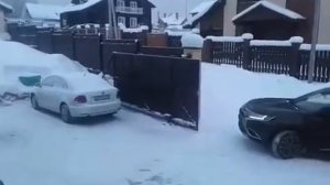 Как научить собаку не выбегать за ворота?