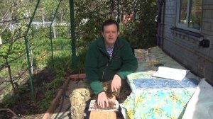 Средство от медведки.Мульчирование.