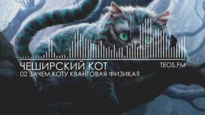 02. Зачем коту квантовая физика?