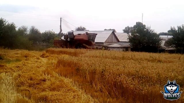 Бонус Уборка зерновых культур в огороде сезон 2021 год Нива СК-5 № 9 смотреть онлайн