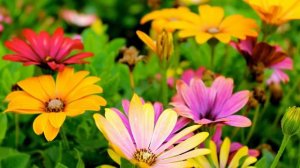 Что делать при опьянении