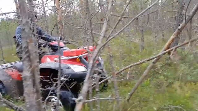Прокатились на квадроцикле 14.07.2017 HONDA TRX680 смотреть онлайн