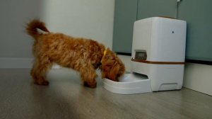 Тариф «Для умных вещей»