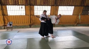 Николай Егоров, 6 дан айкидо Айкикай. Айкидо против ударов ногами. Летняя Школа ФАР 2020.