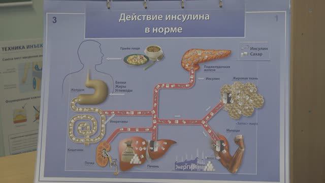 Урок 1 - Школа здоровья по сахарному диабету