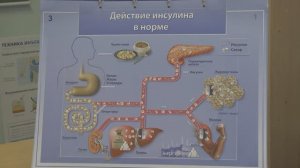 Урок 1 - Школа здоровья по сахарному диабету