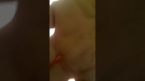 нашли заброшенный самалет