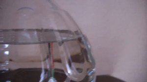 Пищевой питьевой этиловый сирт люкс альфа оптом с доставкой