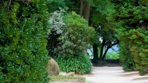 Медитация, когда все Плохо: Обретение Внутренней Силы