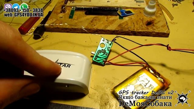 Новогодний светящийся ошейник для собаки, своими руками! смотреть онлайн