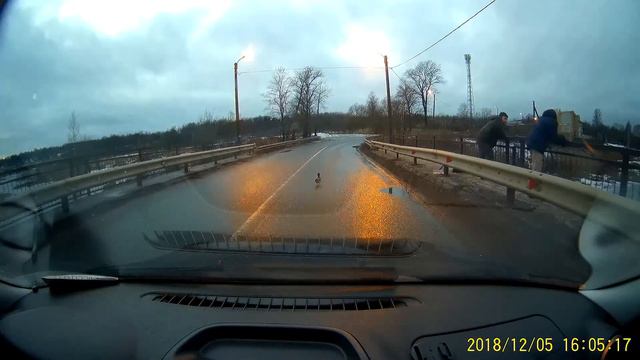 Кря кря мазафака смотреть онлайн