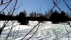 самодельный трицикл на базе тулы.