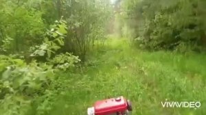 покатушки на мотоблоке по лесу