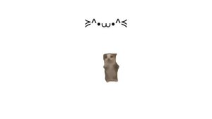 having a good time with your silly cat ᓚᘏᗢ |a playlist.