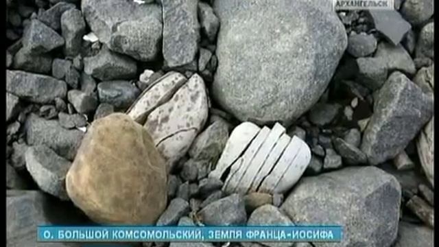 На территории федерального заказника "Земля Франца-Иосифа" обнаружены два новых лежбища моржей смотреть онлайн