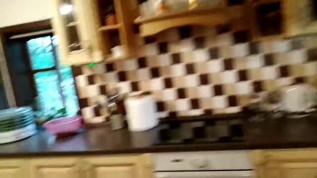 Заготовка зеленого лука. ПРО ТО, КАК ЗАГОТОВИТЬ ЛУК И ПРИПАХАТЬ МУЖА. Как же он наплакался ! смотреть онлайн