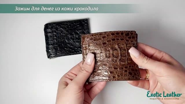 Зажим для денег из кожи крокодила смотреть онлайн