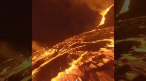 скафандр и бабочка Честр Небро