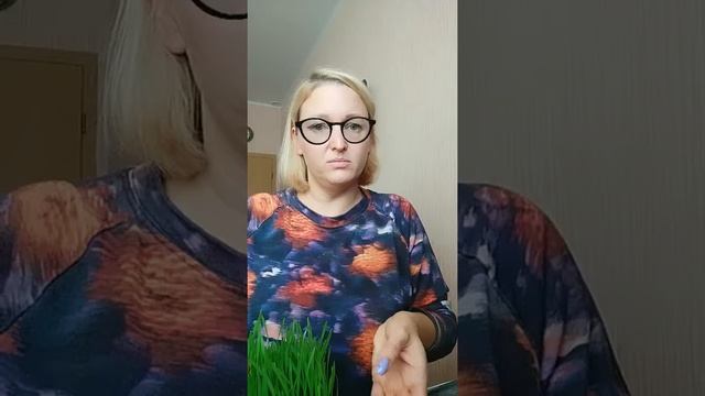 Сколько времени занимает выращивание МИКРОЗЕЛЕНИ?