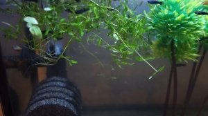 Компрессор для аквариума  Воздух для рыб   HAILEA