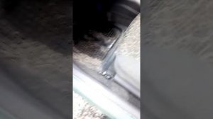 Как зделать диагностику авто своими рукамы с помощу сканера OBD 2. на Deawoo Ланос Сенс Шанс.