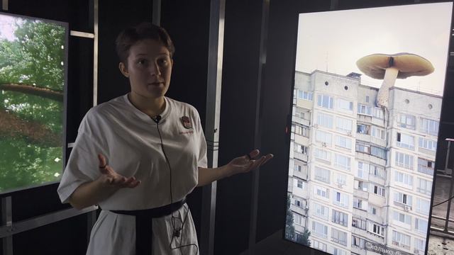 Your Art Muse Цифровая секция Blazar 2023. Современное искусство dnuiEriIimk