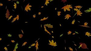 Осенние листья | осень | leaves | листопад | футажи | ФутаЖОР