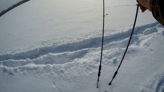 Лучшие недорогие спиннинги для джига?! Обзор всех моих палок. Deep, Gun, Fogel от Сезон Рыбалки. смотреть онлайн