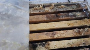 зимовка пчел в 6ти рамочниках на воле, ппс и ппу в Сибири часть 4. #пасека #пчелы #пчеловодство