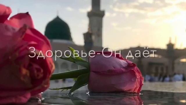 🕋🤍Что тебе такого сделала Allah чтобы ты отказался  от встречи с ним?