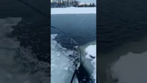 Аэрация Водоема Зимой с Помощью Воздуходувки