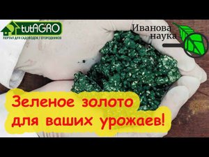 В 100 РАЗ ЭФФЕКТИВНЕЕ, ЧЕМ ВСЕ ДРУГИЕ! Чем так хороша ТРИХОДЕРМА ПО ЛИСТУ. НАУЧНАЯ ПЯТНИЦА.