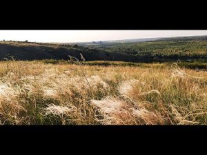 Казачья песня - Казачий Дон