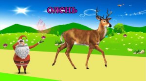 картинки животных для детей видео - звуки животных для детей 2 года | BonBi TV