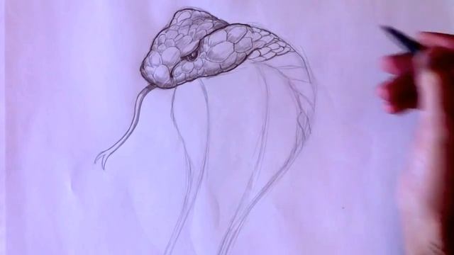 How to Draw a King Cobra Snake | Step by Step смотреть онлайн