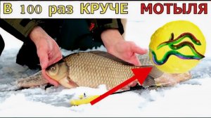 Мотыля больше не покупаю. Эта наживка уловистее мотыля. Для рыбалки в глухозимье