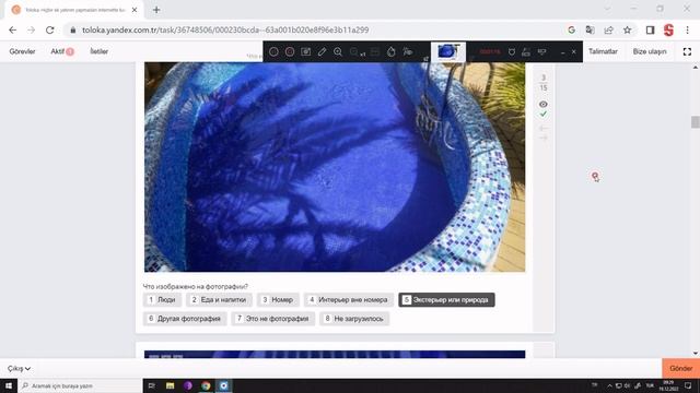 Что изображено на фотографии?#ЯНДЕКС ТОЛОКА# смотреть онлайн