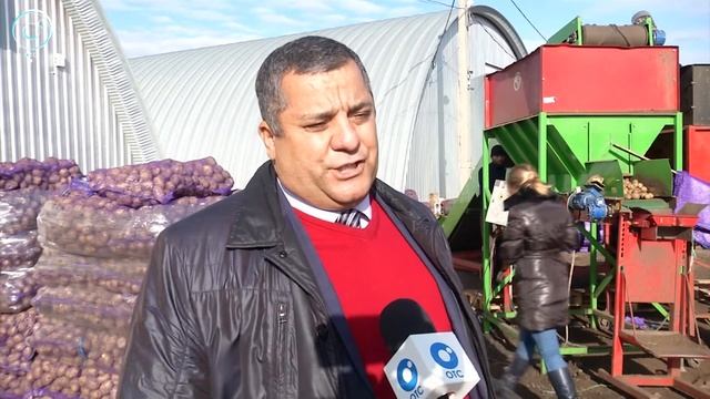 Голландские технологии для земли сибирской. Как вырастить и сохранить морковь в полкилограмма весом смотреть онлайн