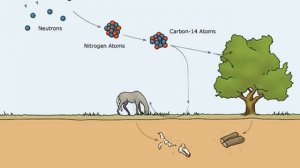 Радиоуглеродный анализ - ИЗОЩЕРЁННАЯ ЛОЖЬ историков