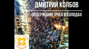 Лекция. Содержание пчел в колодах.